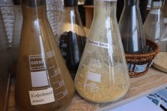 Посещение офиса компании GAIA RU 