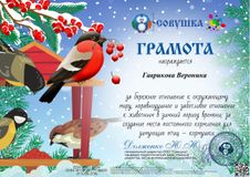 декабрь 2022 год