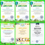 Воспитатель Секрет Н.А. 2017 г.