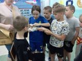 Соревнования «Академия безопасности"