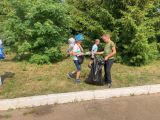 Акция «Чистый двор»