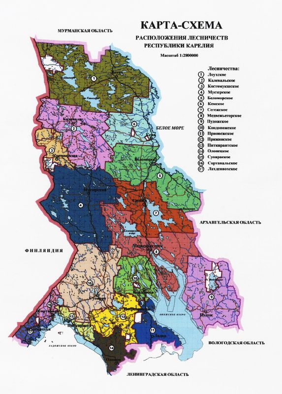 Карта лесничеств Карелии. Карта лесов Карелии. Карта Прионежского центрального лесничества Карелия. Лесное хозяйство Карелии карта