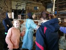 ООО «Ладожское»