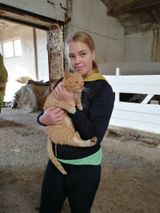 ООО «Ладожское»