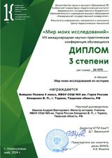 3-е место Бойцовой Полины в заочном этапе VIII международной научно-практической конференции обучающихся «Мир моих исследований» (г. Новокузнецк)