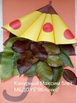 Канурный Максим, 5 лет, МБДОУ №5 "Яблочко"