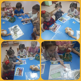 Домашние животные