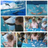 Всемирный день защиты морских млекопитающих (Всемирный день китов)