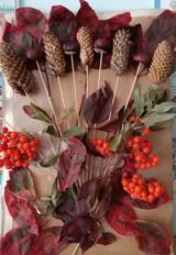 Глазкина Алёна, 6 лет, МБДОУ №27 "Золотая рыбка"