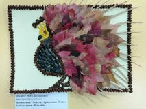 Болотин Артем, 6 лет, МБДОУ №4 "Журавлик"