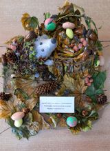 Муравья Александр, 6 лет, МБДОУ №21 "Светлячок"