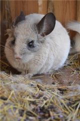 Зоокомплекс "Три медведя"