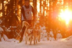 "Double Dream", Шамуков Руслан