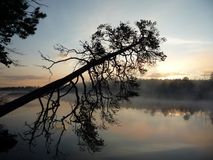 Виктор Смольков