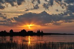 Елена Полевая