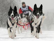 Спортивно-тренировочный центр "Кудама"