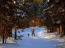 "Double Dream", Шамуков Руслан