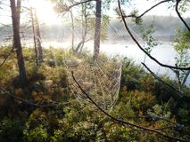 Виктор Смольков