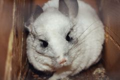 Зоокомплекс "Три медведя"