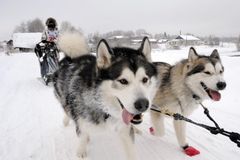 "По земле Сампо", Шамуков Руслан