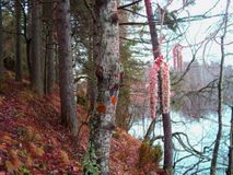 осень, Прохорова А.П.