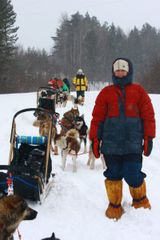 Тур на собачьих упряжках