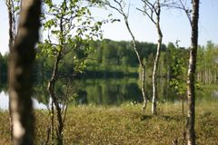 ламбушка, Яковлев Л.А.