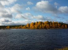 Виктор Смольков