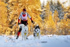 "Double Dream", Шамуков Руслан