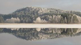 Прохорова А.П.