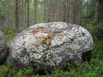 Виктор Смольков