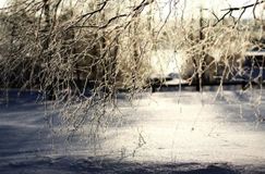 Ирина Филатова