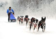 "По земле Сампо", Шамуков Руслан