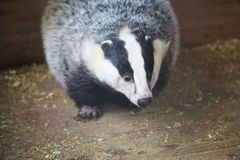 Зоокомплекс "Три медведя"