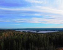 Пряжа, Прохорова Е.П.