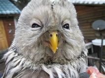 Зоокомплекс "Три медведя"