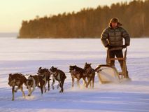 "Double Dream", Шамуков Руслан