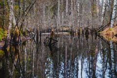 Я там был Extreme version. Карелия