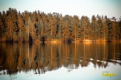 Ладога Трофи