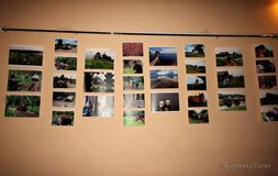 Выставка Братство кольца