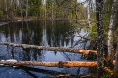 Я там был Extreme version. Карелия