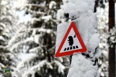 Зима в Карелии