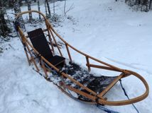 Катание на собачьих упряжках