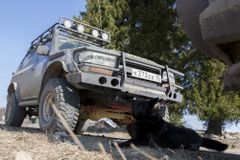 Местные жители Кинермы