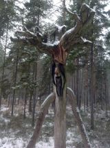 Зоокомплекс Три медведя