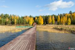 Золотая осень в "Шишках"