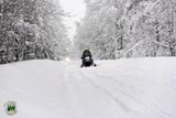 Снегоходы в Карелии