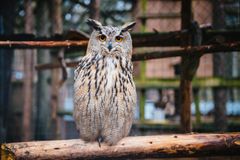 Зоокомплекс "Три медведя"