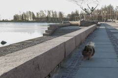 г. Петрозаводск, Набережная Онежского озера