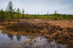 Я там был Extreme version. Карелия